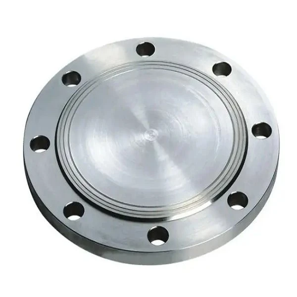 Stainless Steel Forged RF Blind Flange